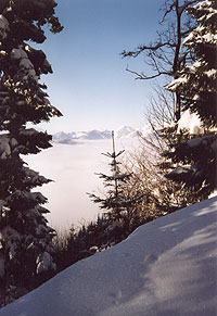 Aussicht im Winter