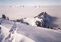 Hochgern im Winter